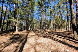 3047 Fickling Hill Road photo 4