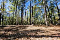3047 Fickling Hill Road photo 4