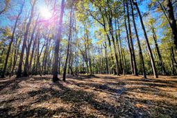 3047 Fickling Hill Road photo 4