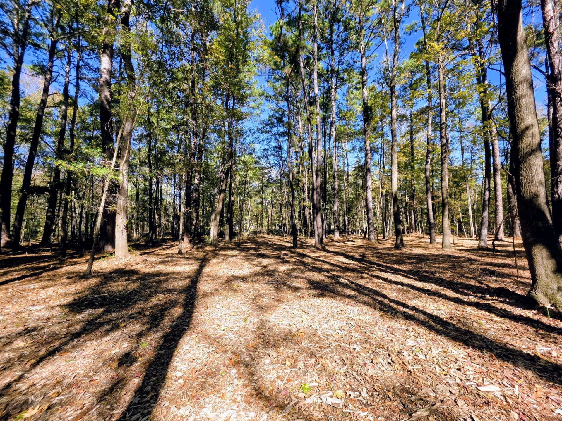 3047 Fickling Hill Road Photo 5