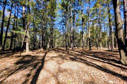 3047 Fickling Hill Road photo 4