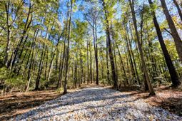 3047 Fickling Hill Road photo 4