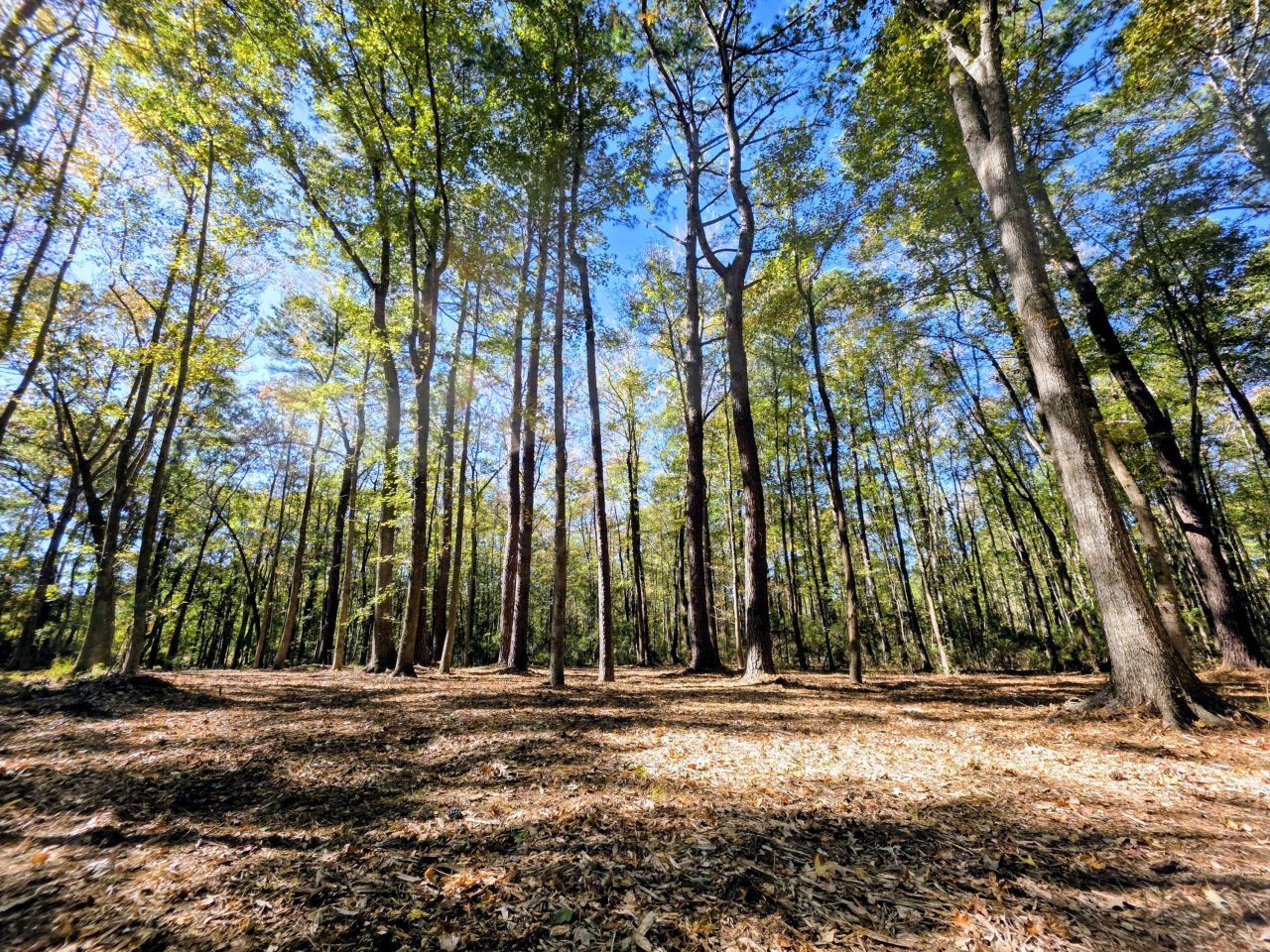 3047 Fickling Hill Road Photo 7