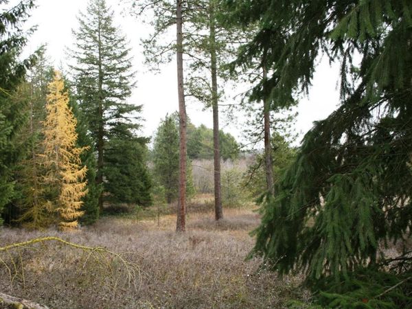 00 Dahl Lot 7 Rd, Deer Park, WA 99006
