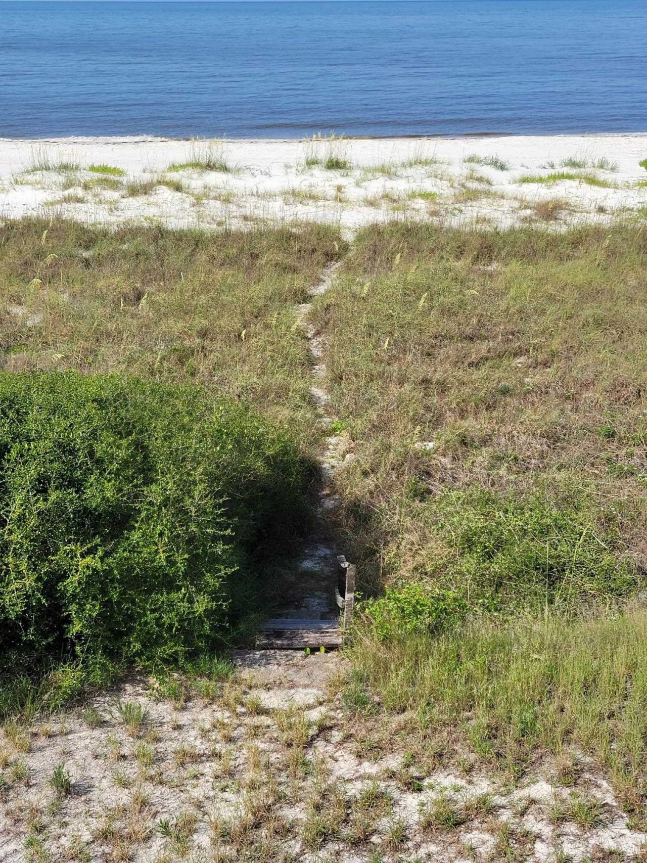 1433 Alligator Drive, Alligator Point, FL 32346 Photo