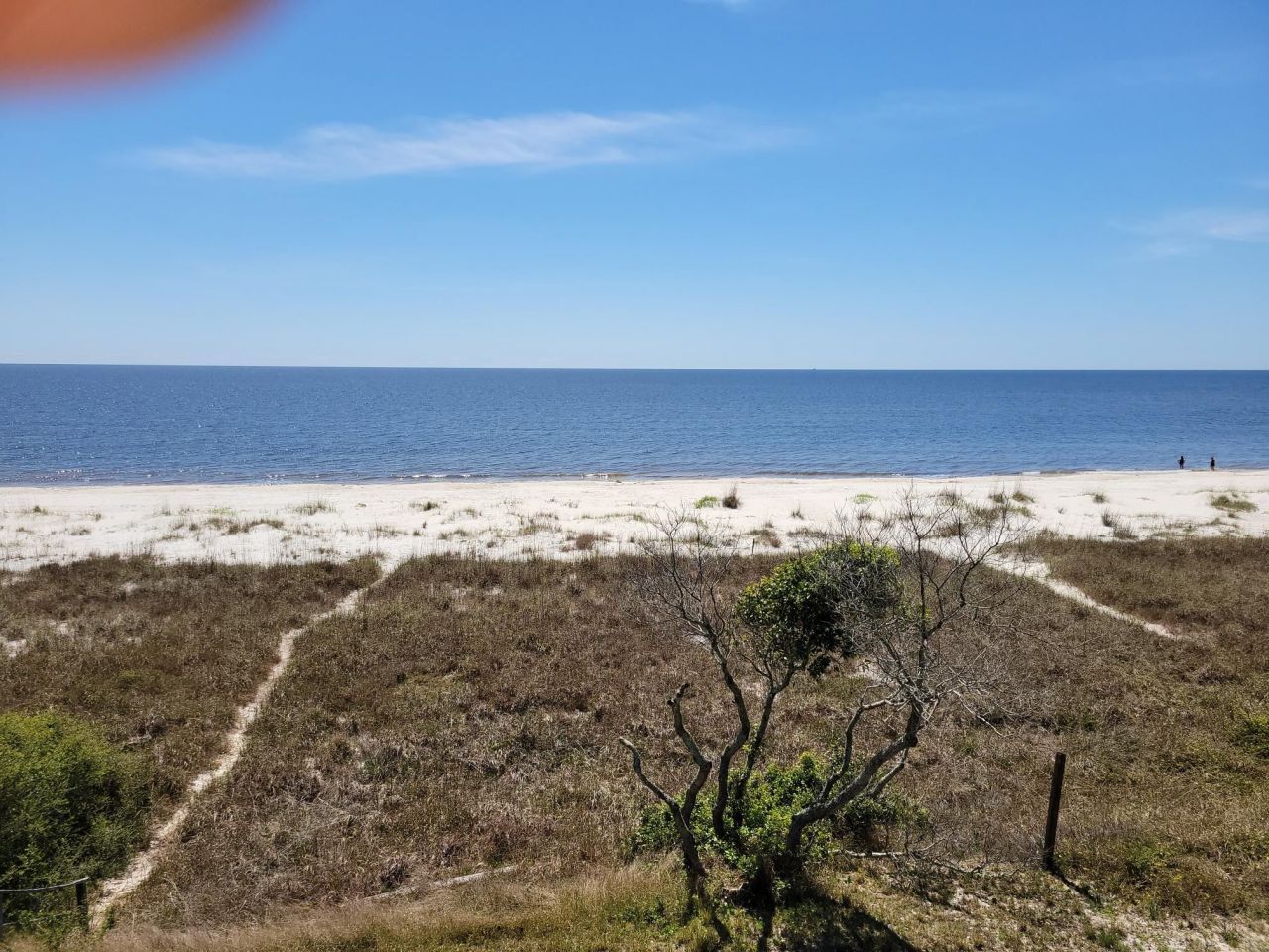 1433 Alligator Drive, Alligator Point, FL 32346 Photo