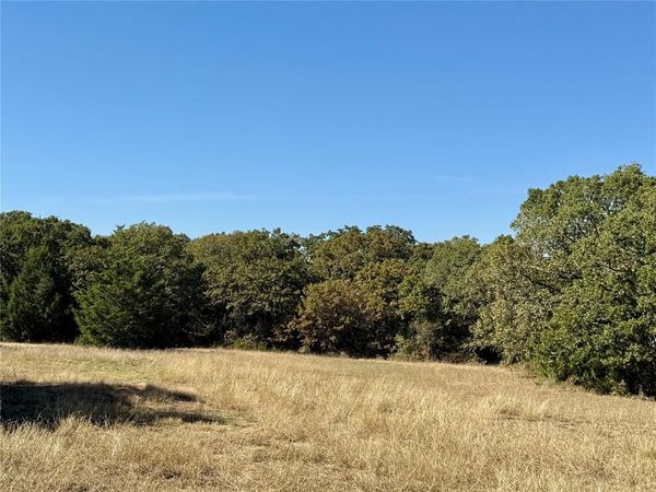 TBD Big Tree Road , Montague, TX 76251