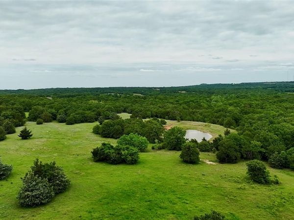 TBD Big Tree Road, Montague, TX 76251