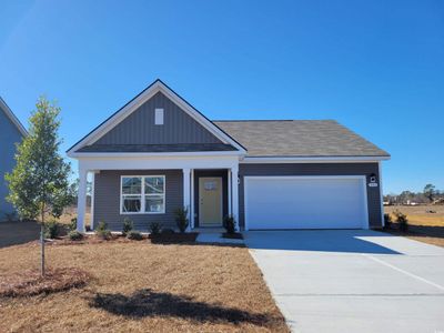 331 Black Gum Dr., Conway, SC 29527