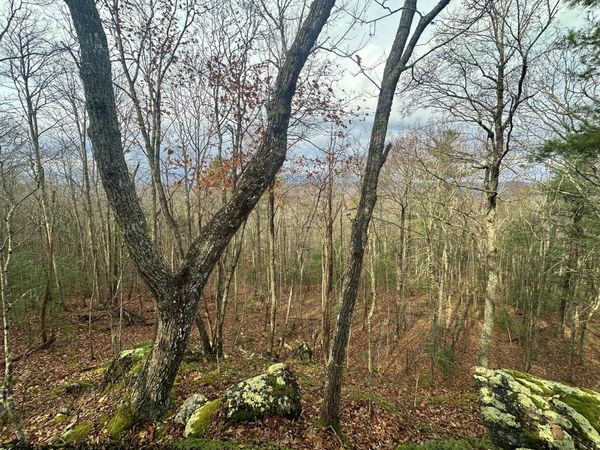 Lot 46 Bear Trak, Gap Mills, WV 24941