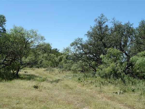 0001 CR 146, Brady, TX 76825
