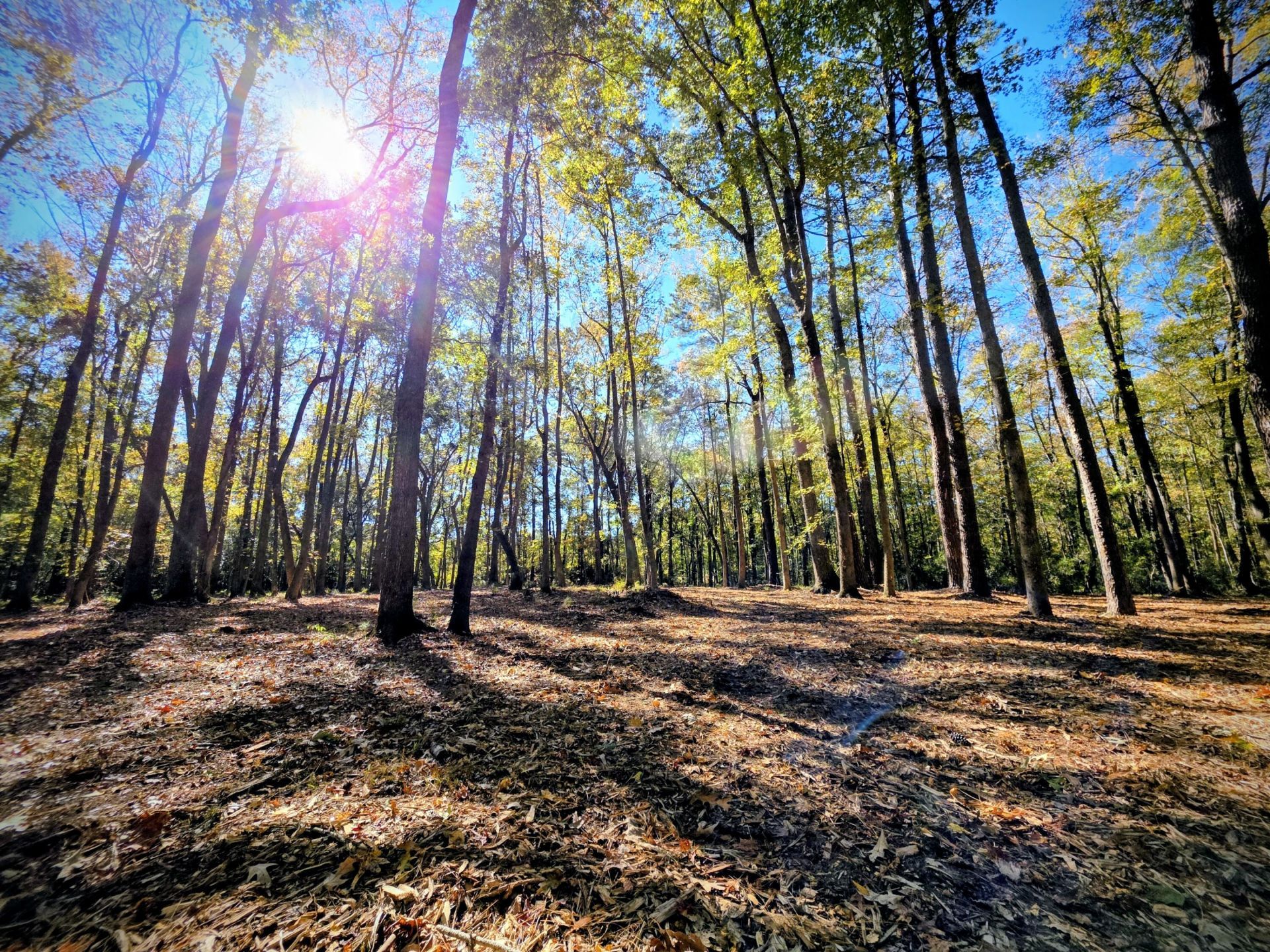 3047 Fickling Hill Road Photo 5