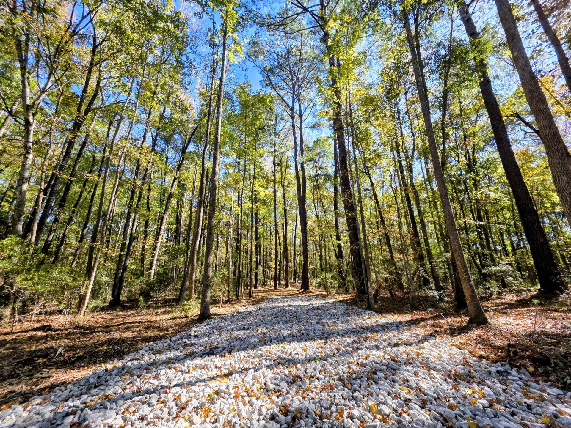 3047 Fickling Hill Road Photo 6