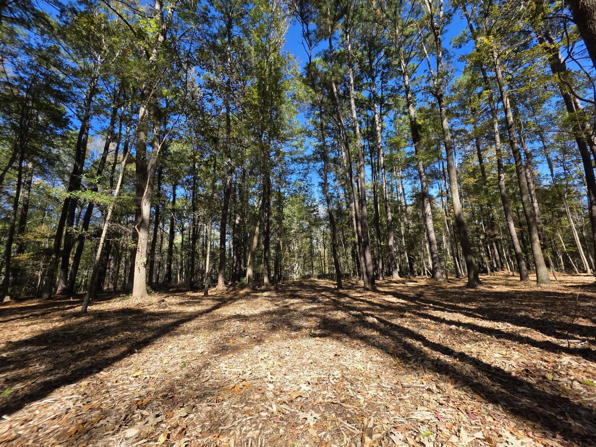 3047 Fickling Hill Road Photo 7