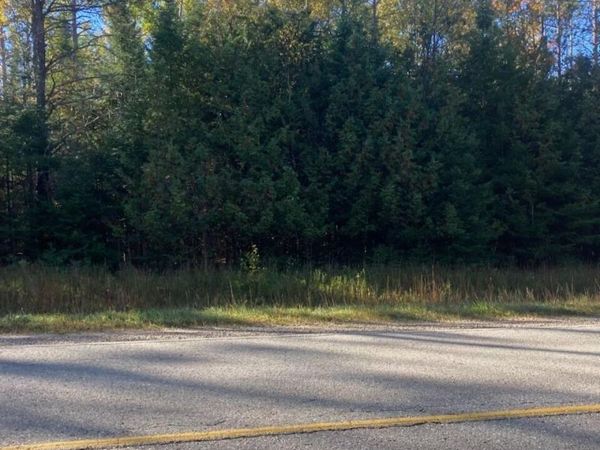 9165 Afton Road, Afton, MI 49705