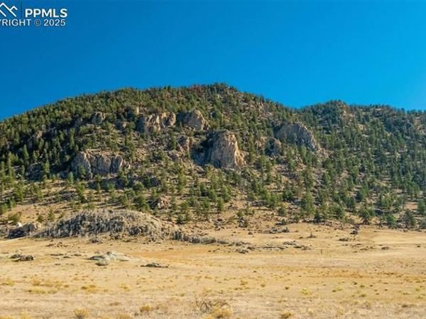 1354 Puma Hills Road, Lake George, CO 80827