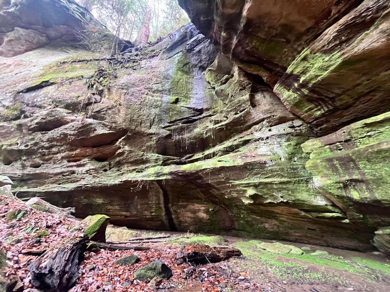 25779 Bailey Road, Rockbridge, OH 43149 Photo 1