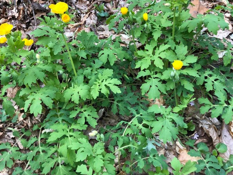 25779 Bailey Road, Rockbridge, OH 43149 Photo 11