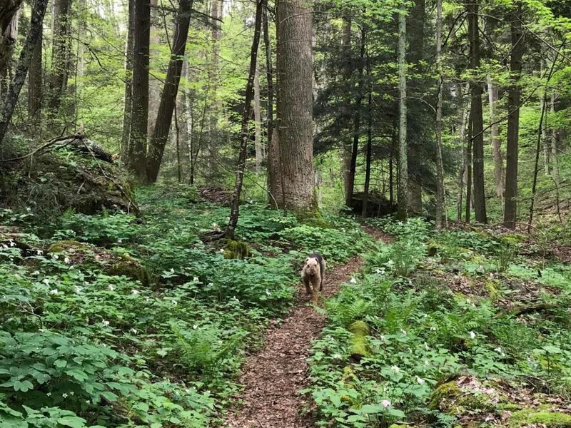 25779 Bailey Road, Rockbridge, OH 43149 Photo 12