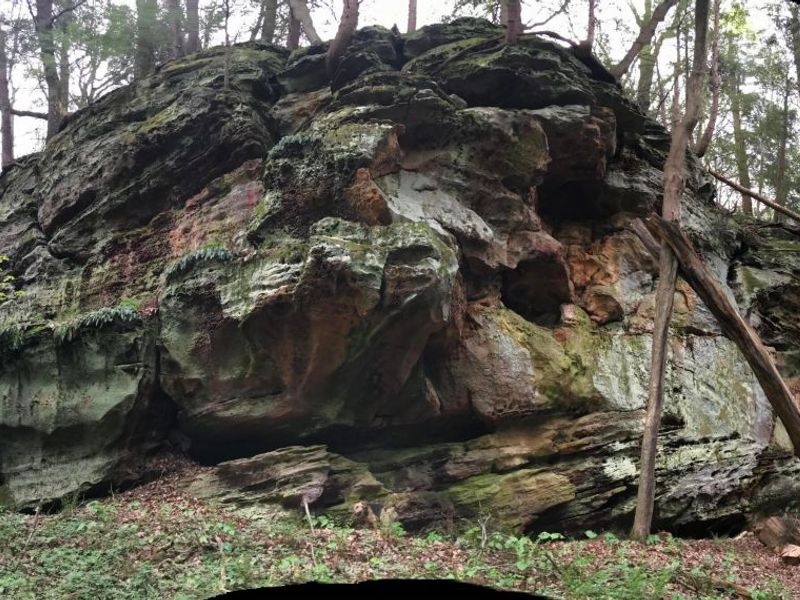 25779 Bailey Road, Rockbridge, OH 43149 Photo 14