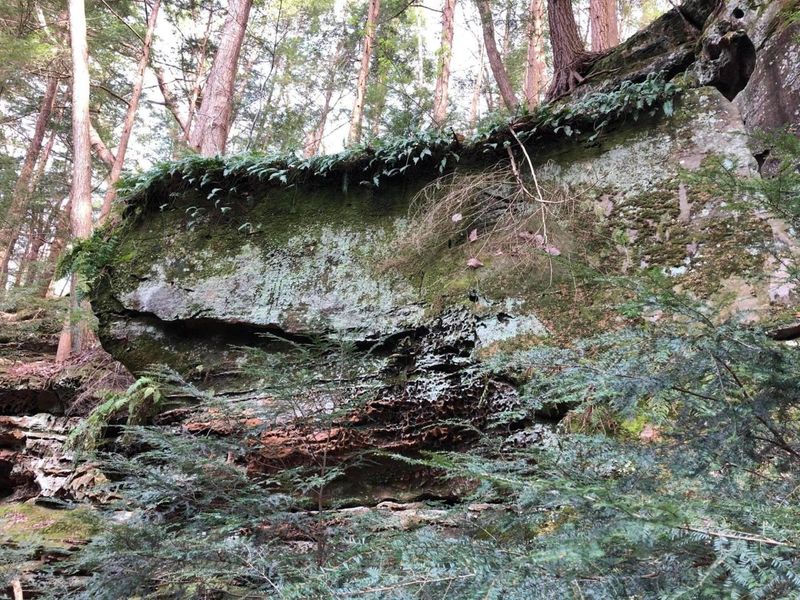 25779 Bailey Road, Rockbridge, OH 43149 Photo 18