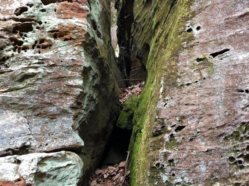 25779 Bailey Road, Rockbridge, OH 43149 Photo 19