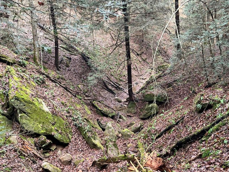 25779 Bailey Road, Rockbridge, OH 43149 Photo 21