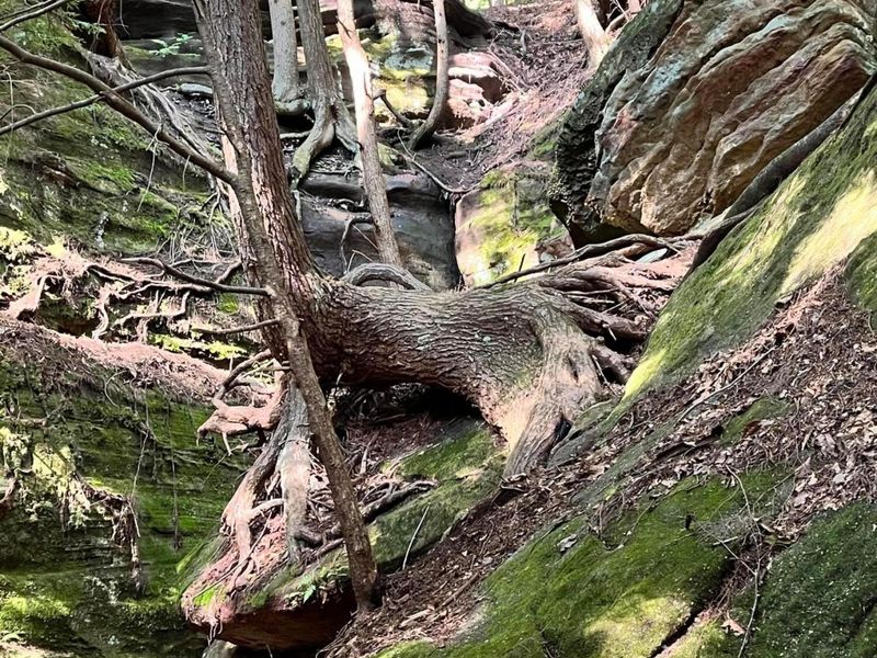 25779 Bailey Road, Rockbridge, OH 43149 Photo 26