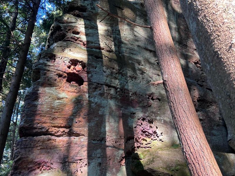 25779 Bailey Road, Rockbridge, OH 43149 Photo 27