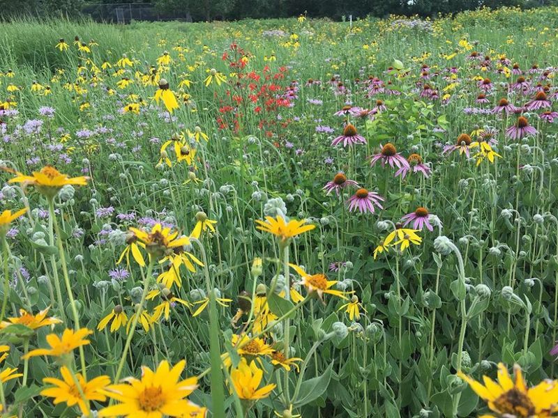 25779 Bailey Road, Rockbridge, OH 43149 Photo 5