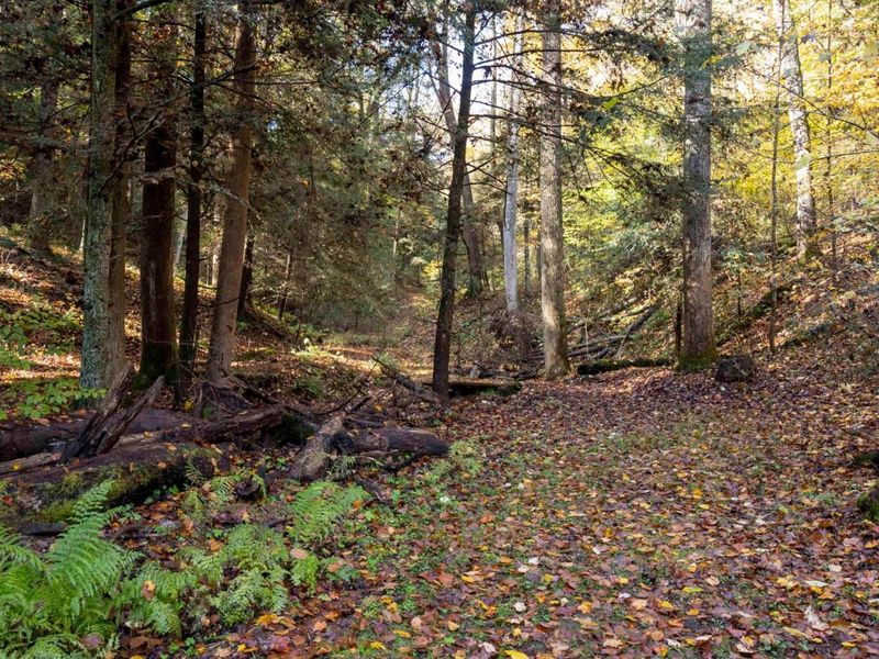 25779 Bailey Road, Rockbridge, OH 43149 Photo 75