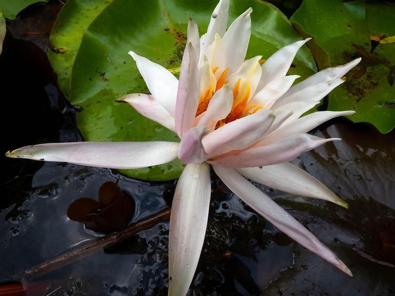 25779 Bailey Road, Rockbridge, OH 43149 Photo 8