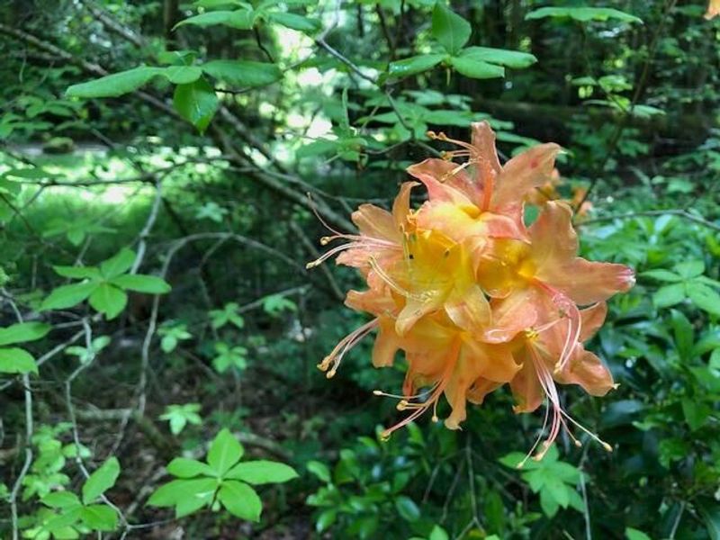 25779 Bailey Road, Rockbridge, OH 43149 Photo 86