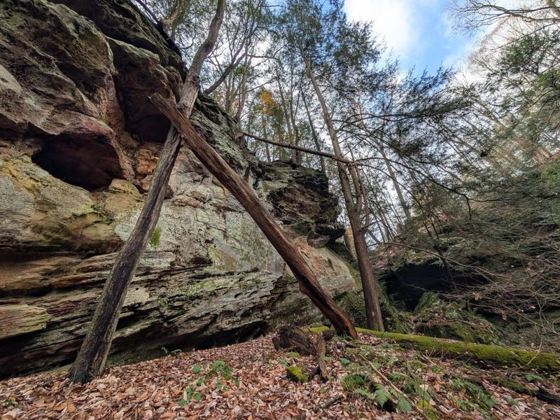 25779 Bailey Road, Rockbridge, OH 43149 Photo 87