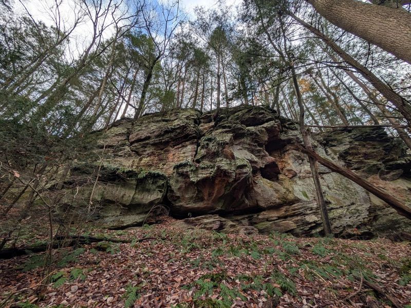 25779 Bailey Road, Rockbridge, OH 43149 Photo 88