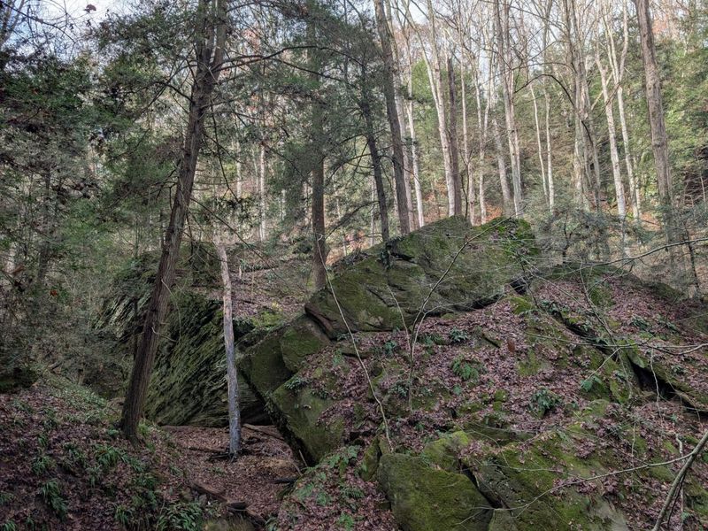 25779 Bailey Road, Rockbridge, OH 43149 Photo 89