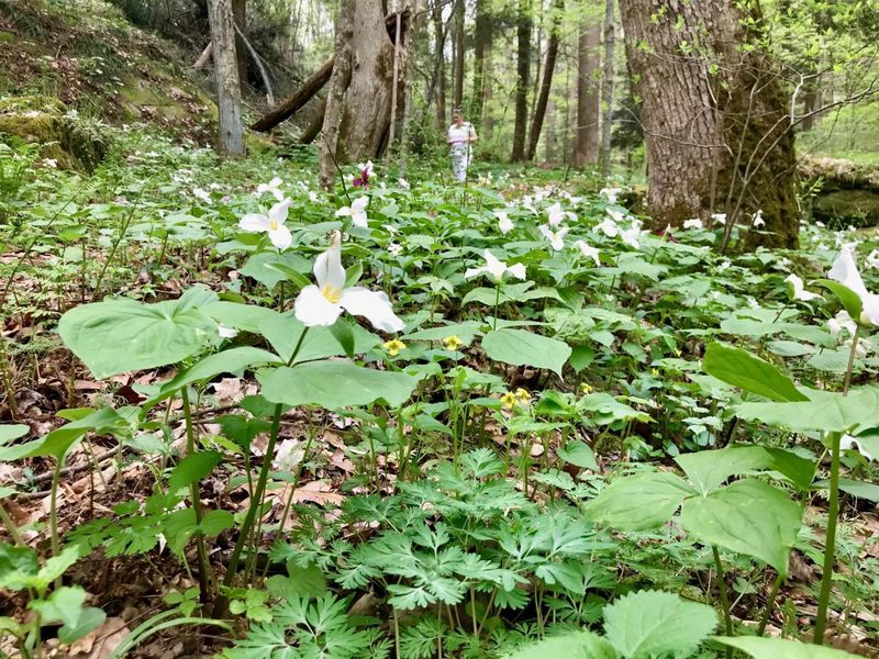 25779 Bailey Road, Rockbridge, OH 43149 Photo 9