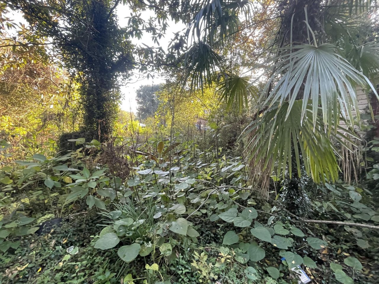 7690 Toogoodoo Road Photo 14