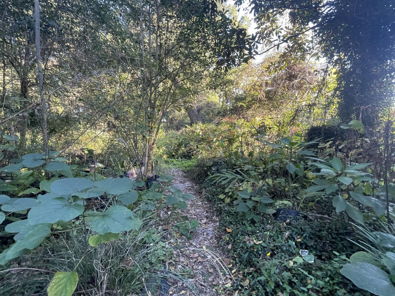 7690 Toogoodoo Road Photo 15