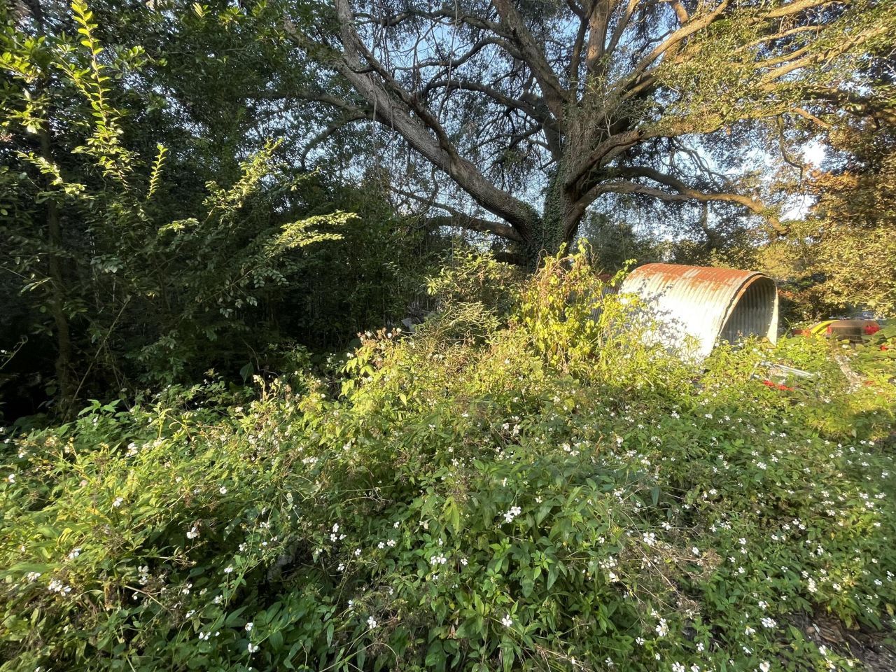 7690 Toogoodoo Road Photo 17