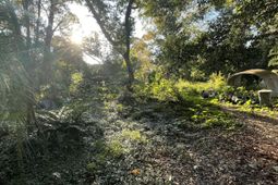 7690 Toogoodoo Road photo 4