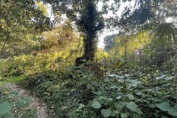 7690 Toogoodoo Road photo 4