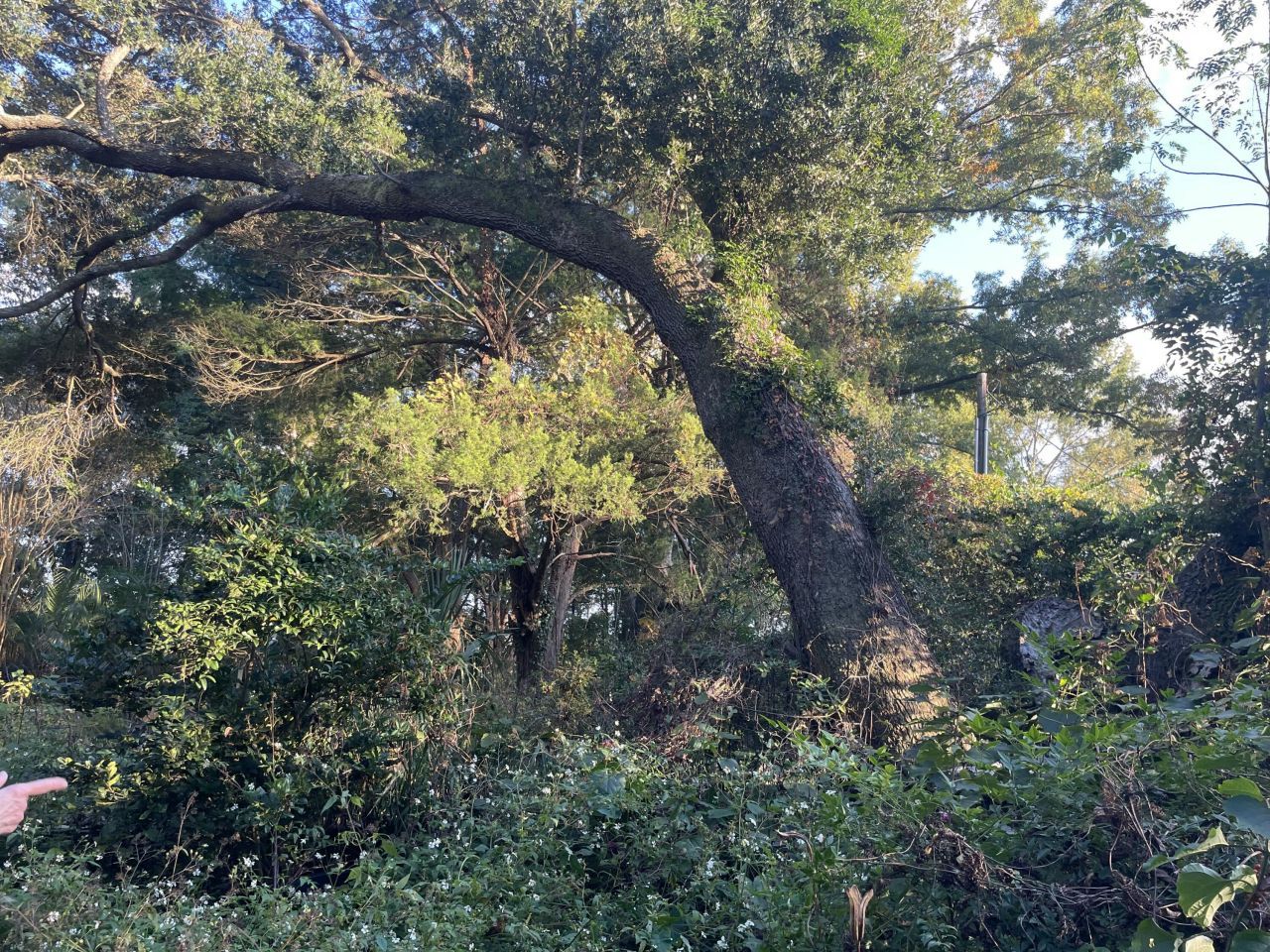 7690 Toogoodoo Road Photo 4