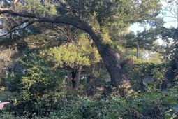 7690 Toogoodoo Road photo 4