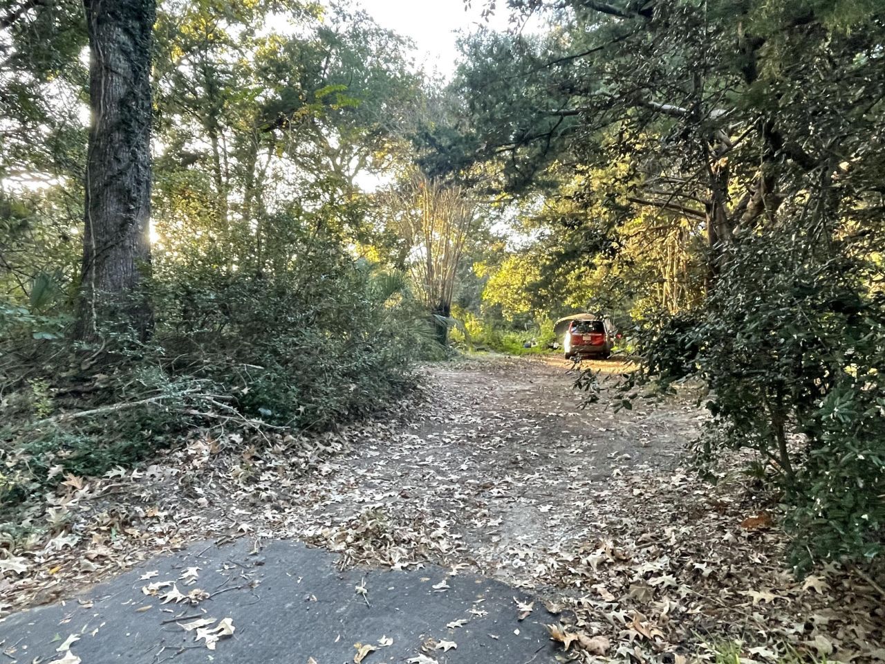 7690 Toogoodoo Road Photo 5