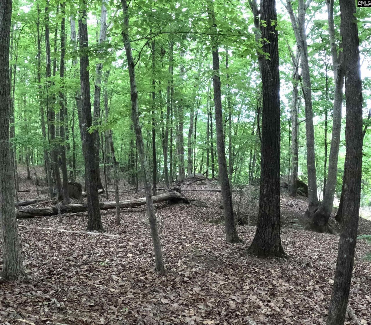 3111 Catawba Road  Photo 10