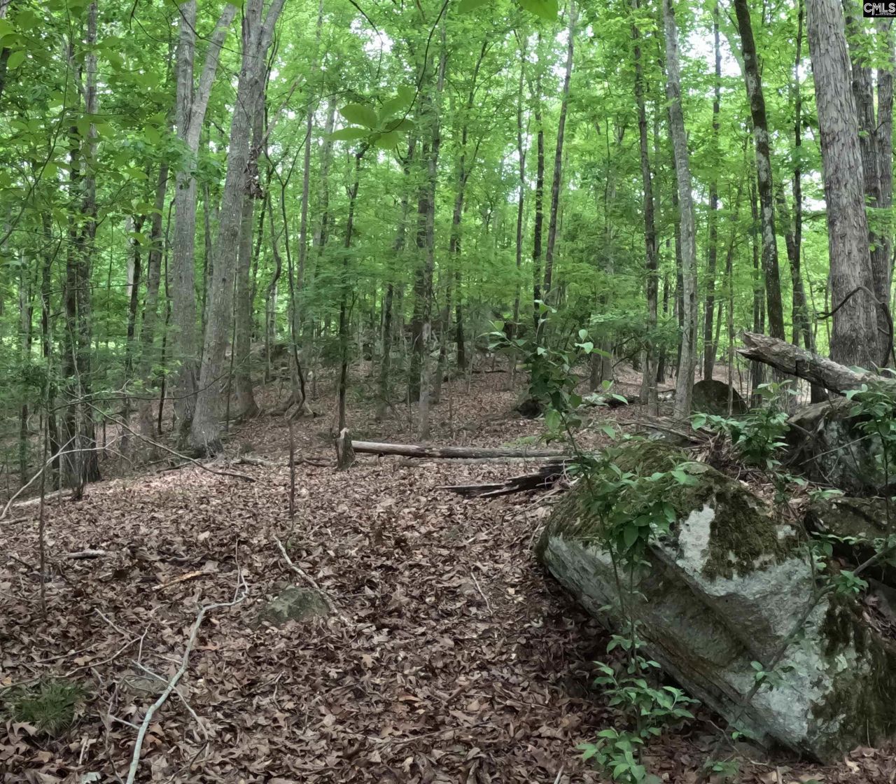 3111 Catawba Road  Photo 11