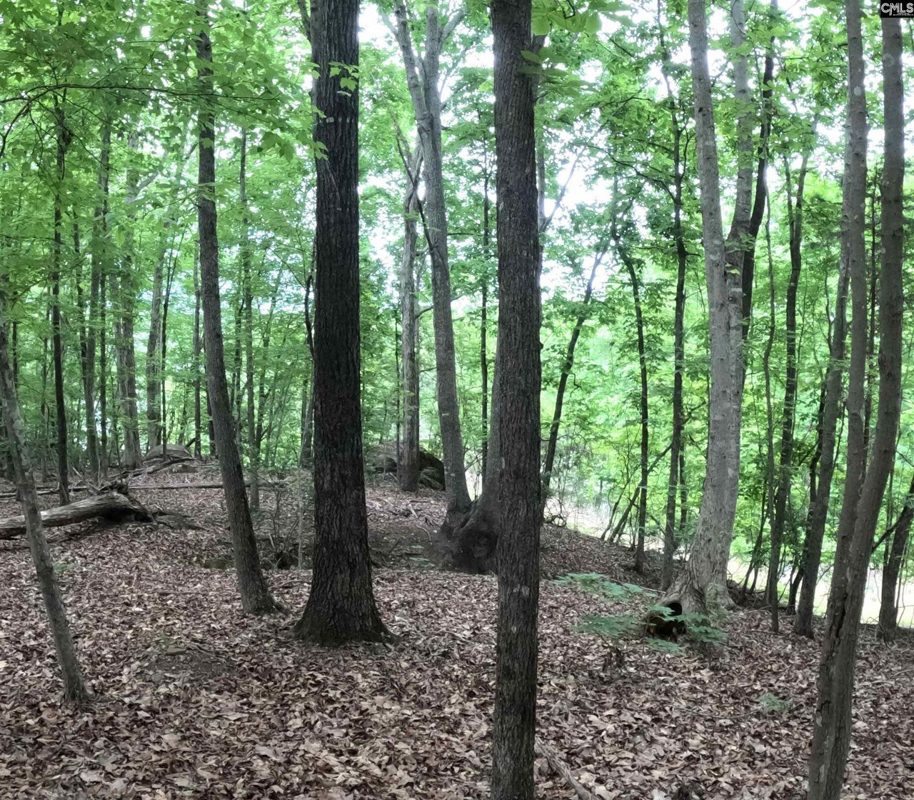 3111 Catawba Road  Photo 13