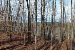 3111 Catawba Road  photo 4