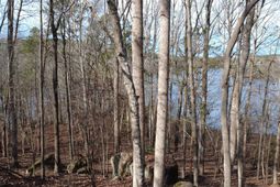 3111 Catawba Road  photo 4